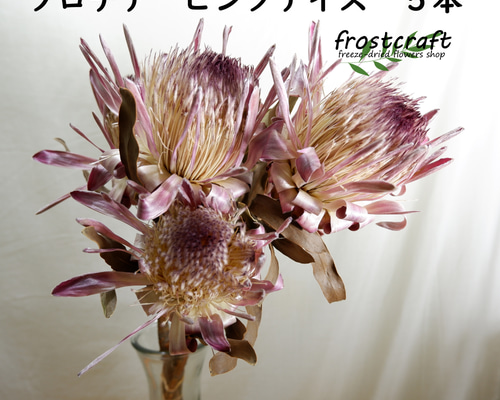 f5e6c12b27a4bdfb1954dff24b28c9