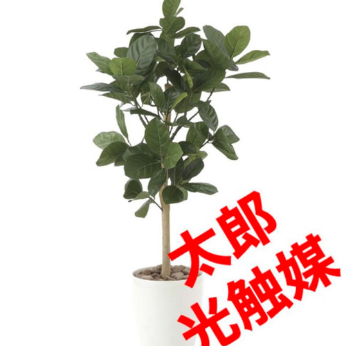 光触媒　人工観葉植物　ウォールグリーン　フェイクグリーン　パンの木90 光触媒 人工観葉植物 ウォールグリーン フェイクグリーン 壁掛け