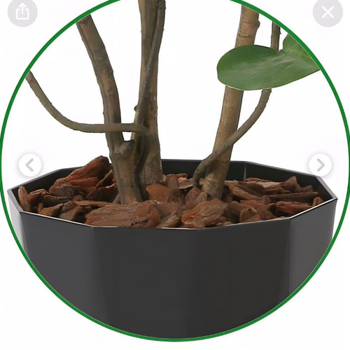光触媒 人工観葉植物 ウォールグリーン フェイク ベンジャミン 光触媒 人工観葉植物 ウォールグリーン フェイク ベンジャミン
