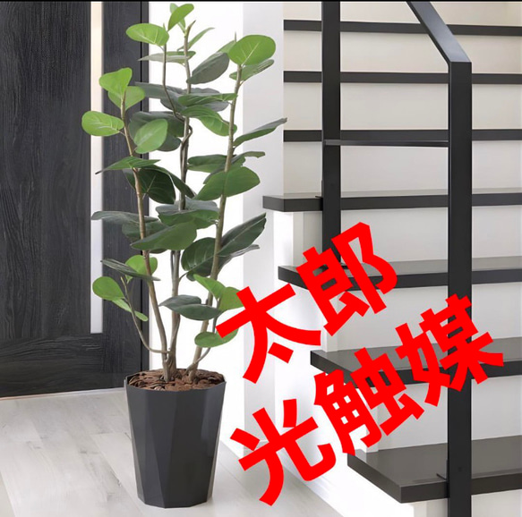光触媒人工観葉植物ウォールグリーンシーグレープモンステラg