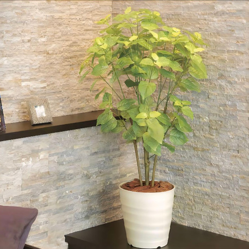 光触媒　人工観葉植物　ウォールグリーン　フェイクグリーン　ペリーラ1.0 光触媒 人工観葉植物 ウォールグリーン フェイクグリーン ペリーラ1.0