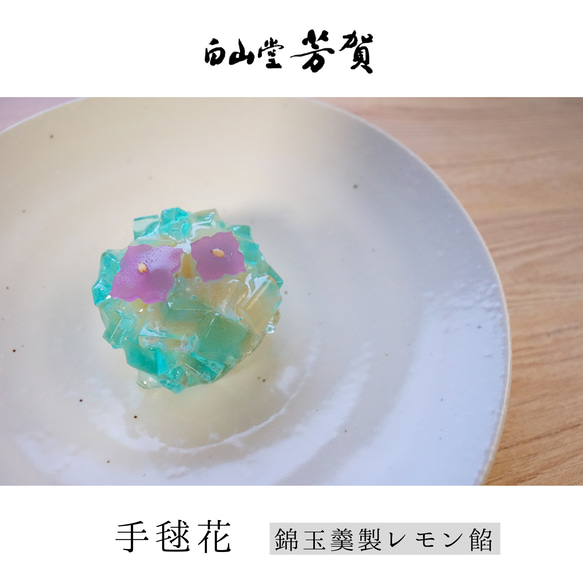  第10張的照片