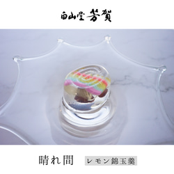  第11張的照片