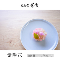  第12張的照片