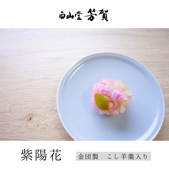  第12張的照片