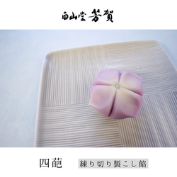  第7張的照片