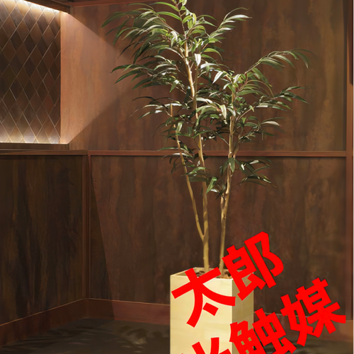 光触媒 人工観葉植物 フェイクグリーン ウッドボックス 光触媒 人工観葉植物 フェイクグリーン ウッドボックス