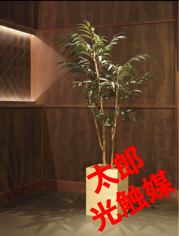 光触媒 人工観葉植物 フェイクグリーン ウッドボックスショウナンゴム