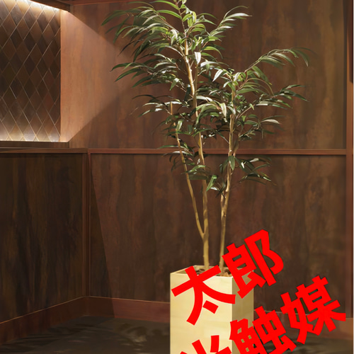 光触媒 人工観葉植物 フェイクグリーン ウッドボックスショウナンゴム