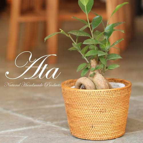 □当日発送□アタ製 卓上のゴミ箱や鉢カバーとして♪ (マルチ