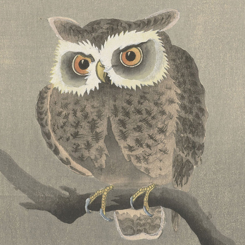 フクロウ 絵画 鳥 墨彩画 和風 岩本峯斎 額付き