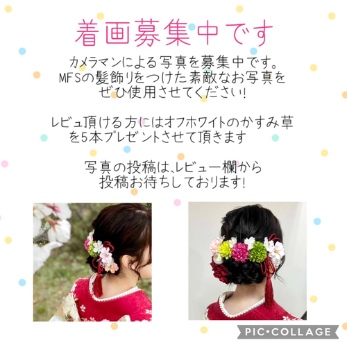 成人式 髪飾り 和装結婚式 胡蝶蘭 コチョウラン 濃いピンク フッ 成人式 髪飾り 和装結婚式 胡蝶蘭 コチョウラン 濃いピンク フッ