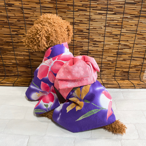 犬の浴衣✨本染本格浴衣 紫×サーモンピンク・黄色 犬服 ペット服