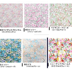 ハンドメイド　歯ブラシケース　歯ブラシポーチ　メッシュポーチ　ラミネートポーチ　リバティ　セオ 8枚目の画像