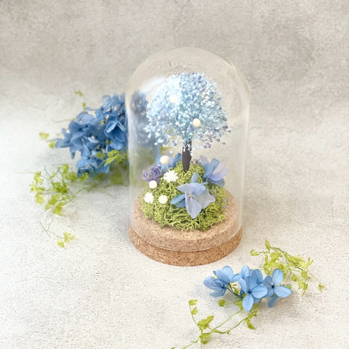 予約販売〉 紫陽花 ＊ガラスドーム アレンジ / ギフト / アジサイ