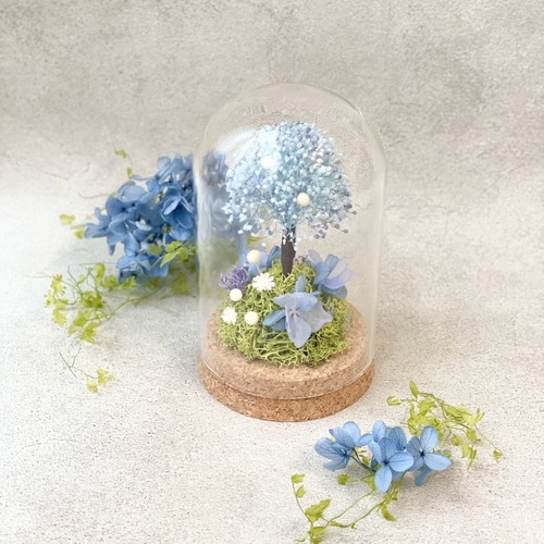 予約販売〉 紫陽花 ＊ガラスドーム アレンジ / ギフト / アジサイ
