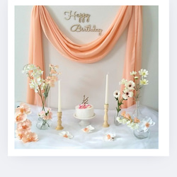 ピンク＊おうちスタジオ レンタル セット 誕生日 ハーフ