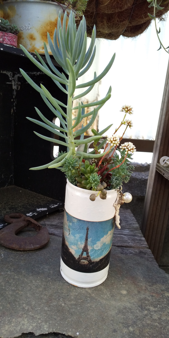 リメイク缶　リースリメイク鉢　リメ缶リメ鉢　多肉寄せ植え　リース寄せ植え 多肉植物 ビーズ付きリメ缶の紅稚児の寄せ植え 多肉植物 ミクロ 通販
