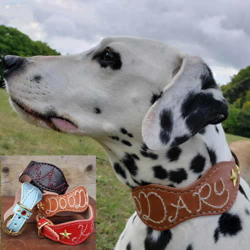 ハンドメイド 犬用首輪 大型犬 中型犬 小型犬 お名前刺繍 しめつける