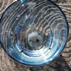 アクアリウムくらげ（青碧桃染海月） 5枚目の画像