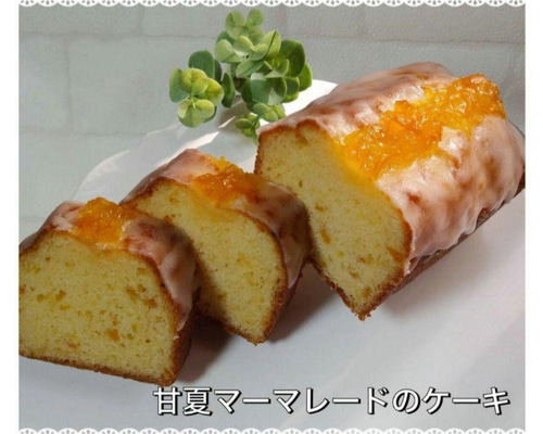 パンもやける大きめパウンド型発売されました！ - さっさっ