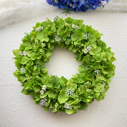 森の香りで迎えるクリスマス｜フレッシュ針葉樹のナチュラルツリー（高