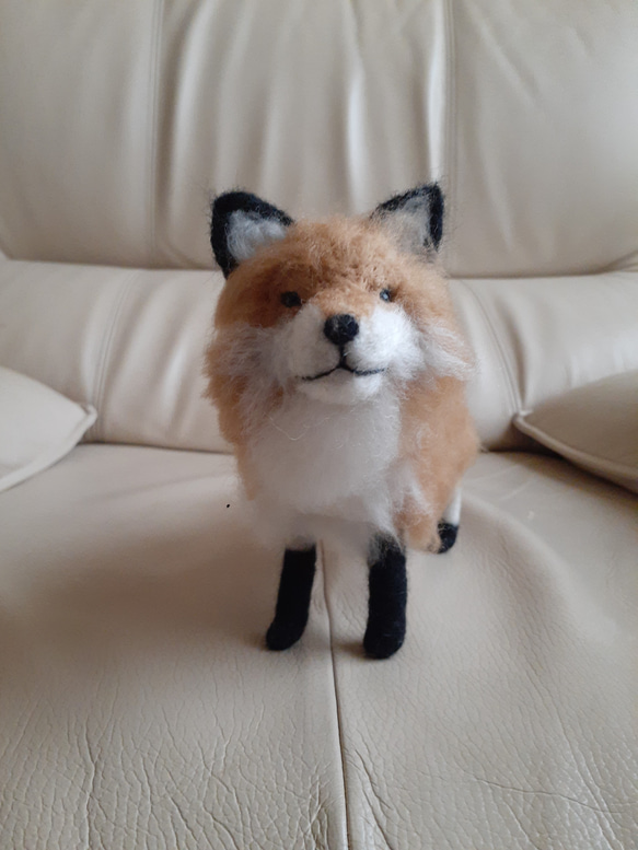キャリン。羊毛フェルトオーダー。 キャリン。羊毛フェルトオーダー。 🍀オーダー専門店🍀羊毛
