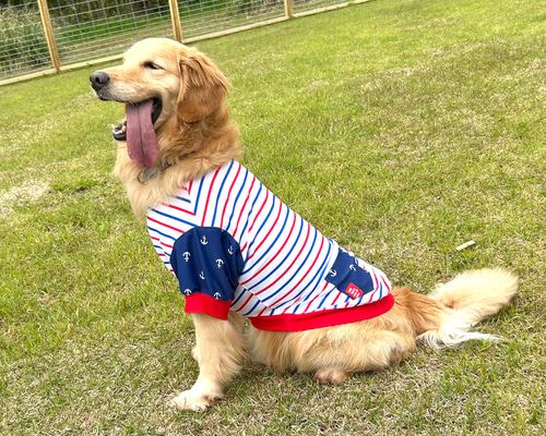 d00f3f48672143e748df8a9f0793a4