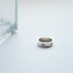 Cherry Blossoms 耳環 戒指 (silver925) 第2張的照片