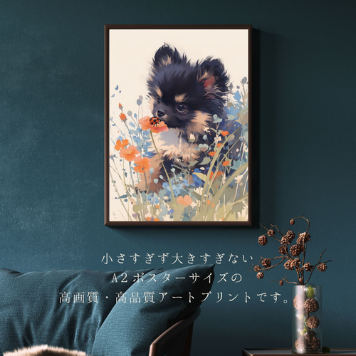 天犬戯舞 - ブラックタン ポメラニアン犬の子犬 No.5】夏