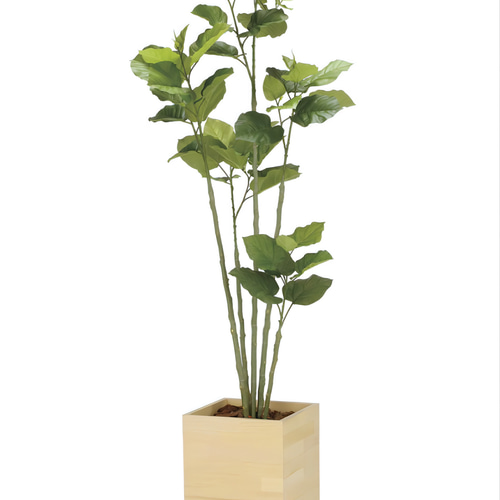 光触媒 人工観葉植物 フェイクグリーン ウッドボックス 光触媒 人工観葉植物 フェイクグリーン ウッドボックス