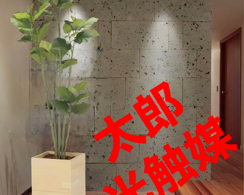 光触媒　人工観葉植物　フェイクグリーン　ウッドボックスウンベラータ1.8m 光触媒 人工観葉植物 フェイクグリーン ウッドボックス