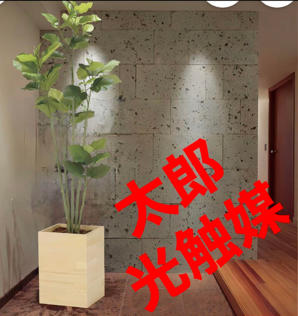 中華のおせち贈り物 光触媒 ウッドボックス フェイクグリーン 人工観葉植物 フラワー・ガーデニング