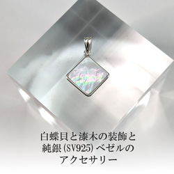 銀貨】庭猫 フィジー 2022年 1オンス シルバーコイン カラー版【純銀