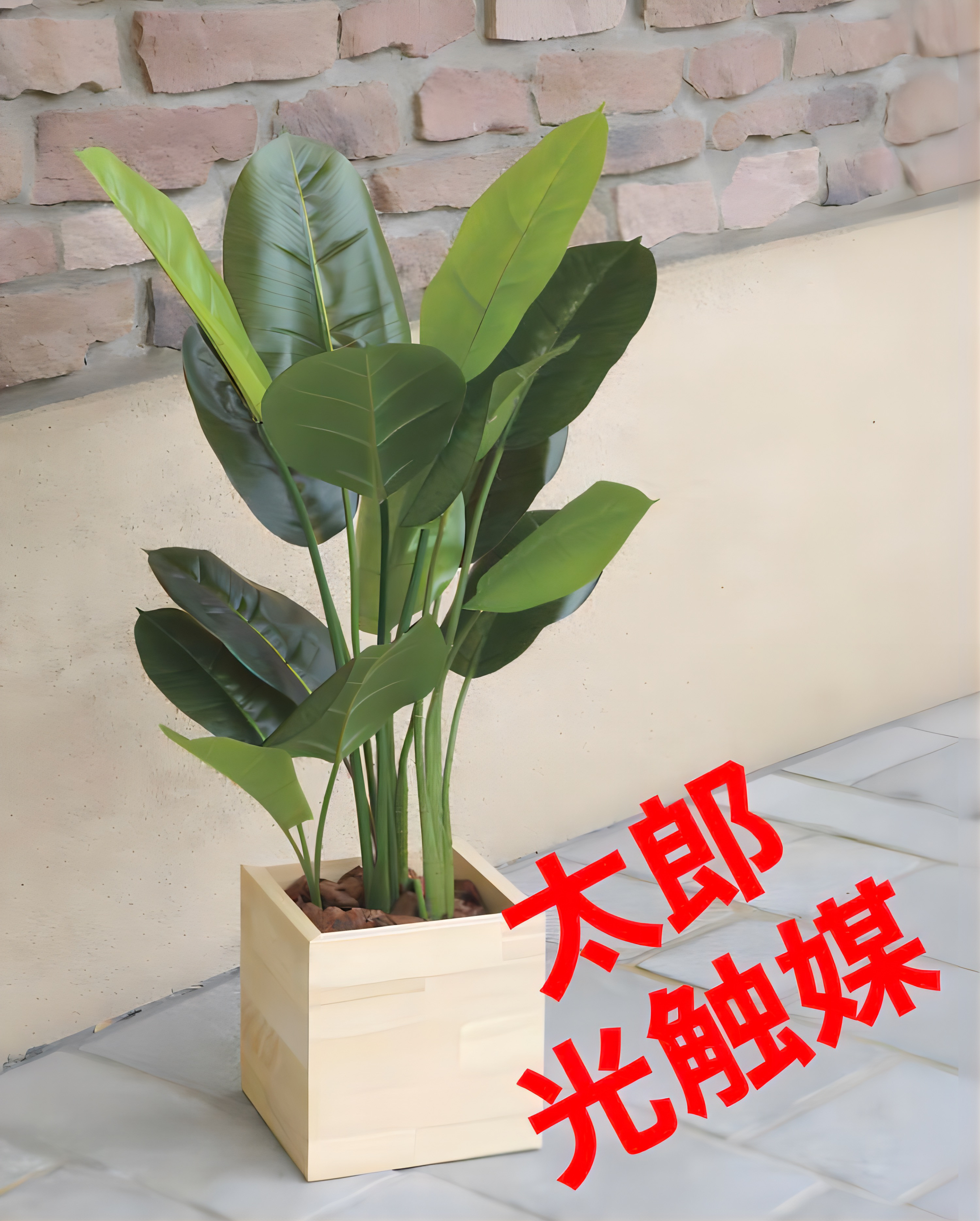 光触媒人工観葉植物ウォールグリーンフェイクグリーンゴムノ木1.25m