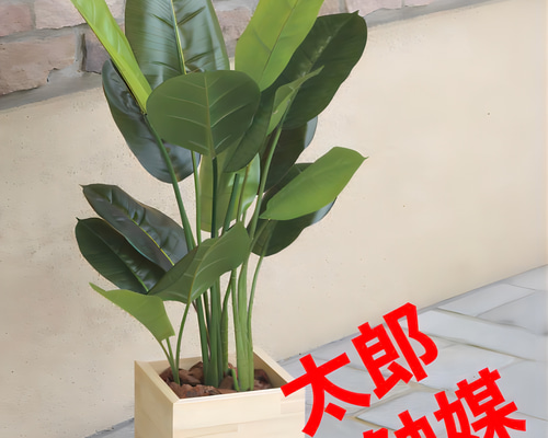 光触媒 人工観葉植物 ウォールグリーン ウッドボックススキンダプサス