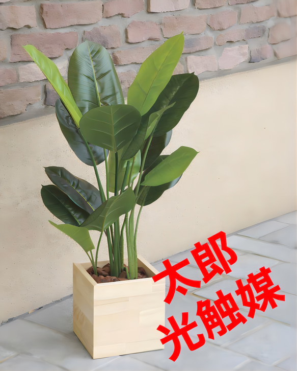 光触媒 人工観葉植物 ウォールグリーン ウッドボックススキンダプサス