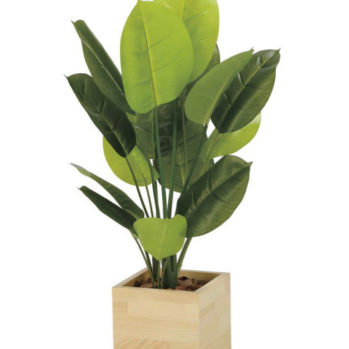 光触媒 人工観葉植物 ウォールグリーン ウッドボックススキンダプサス