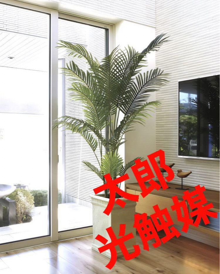 光触媒　人工観葉植物　ウォールグリーン　フェイクグリーン　フレッシュパーム2.0 光触媒人工観葉植物ウォールグリーンフェイクグリーンフレッシュ