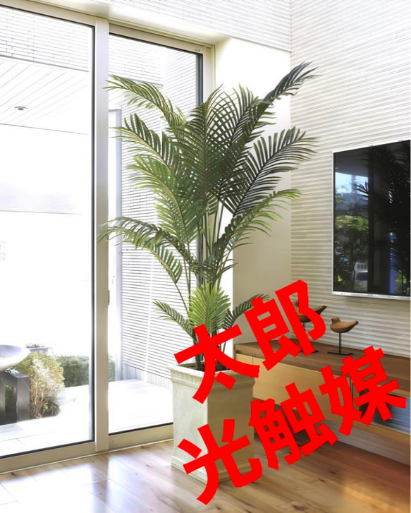 光触媒　人工観葉植物　ウォールグリーン　フェイクグリーン　フレッシュパーム2.0 光触媒 人工観葉植物 ウォールグリーン フェイクグリーン フレッシュ