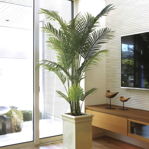 光触媒　人工観葉植物　ウォールグリーン　フェイクグリーン　フレッシュパーム2.0 光触媒人工観葉植物ウォールグリーンフェイクグリーンフレッシュ