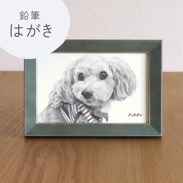 はがき/鉛筆細密画】ペットのリアルな似顔絵【どんな動物でも!】 絵画