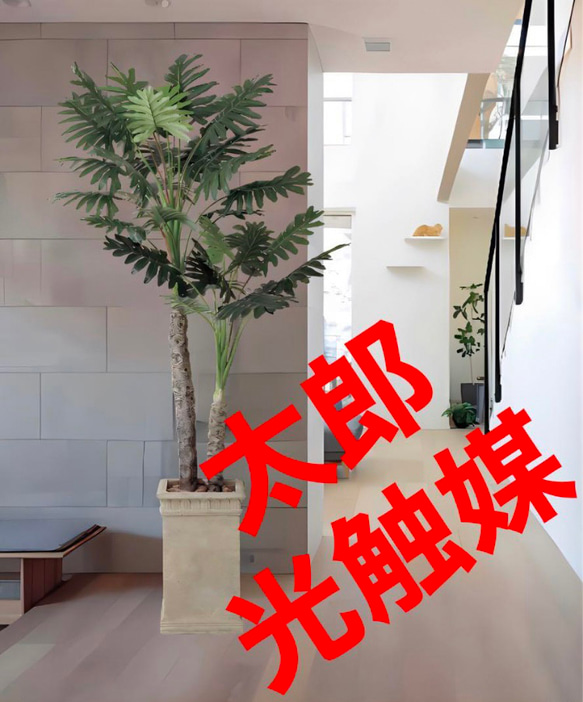 光触媒 人工観葉植物 ウォールグリーン フェイクグリーン 光触媒 人工観葉植物 ウォールグリーン フェイクグリーン