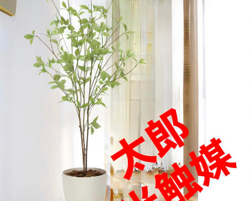 光触媒 人工観葉植物 ウォールグリーン フェイクグリーン クロモジ1.2m