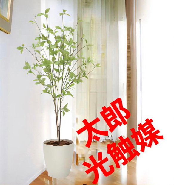 光触媒 人工観葉植物 ウォールグリーン フェイクグリーン クロモジ1.2m