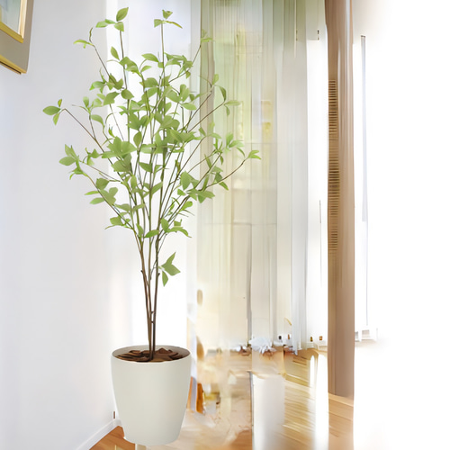 光触媒人工観葉植物ウォールグリーンフェイクグリーンクロモジ1.2m