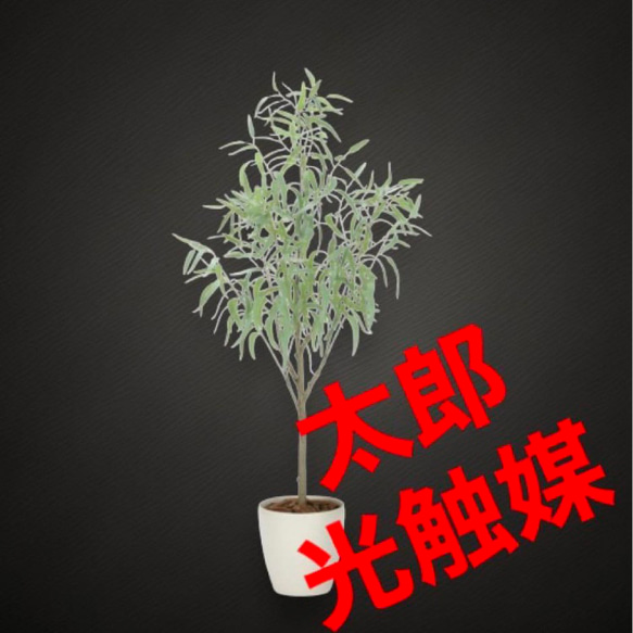 光触媒人工観葉植物フェイクグリーンフレッシュシルバーユーカリ1.7m