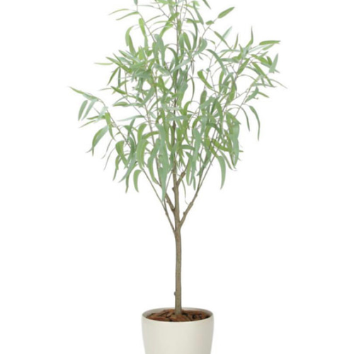 光触媒人工観葉植物フェイクグリーンフレッシュシルバーユーカリ1.7m