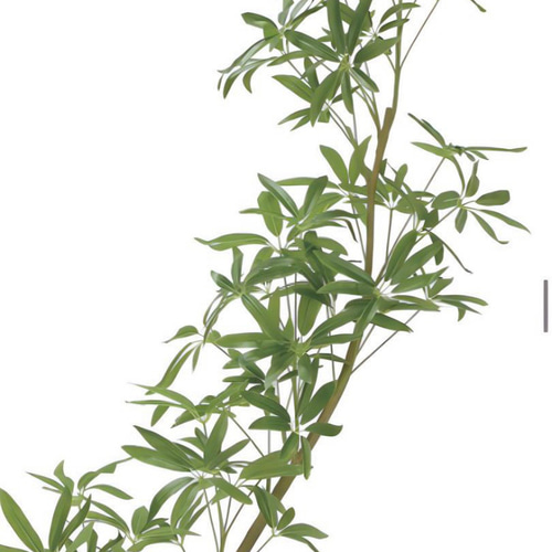 光触媒　人工観葉植物　フェイクグリーン　フレッシュインテリアシェフレラ1.45 光触媒 人工観葉植物 フェイクグリーン フレッシュインテリア
