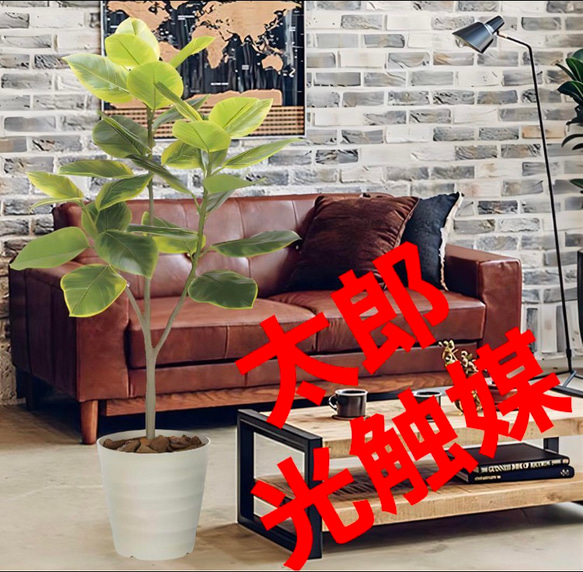 光触媒 人工観葉植物 ウォールグリーン フェイクグリーン アルデシア130